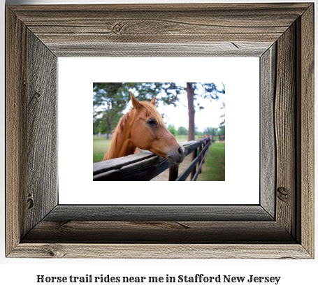 horse trail rides near me in Stafford, New Jersey